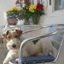 Bequem